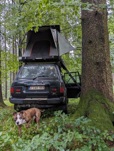 WhatsApp-Image-2025-03-26-at-15.11.20