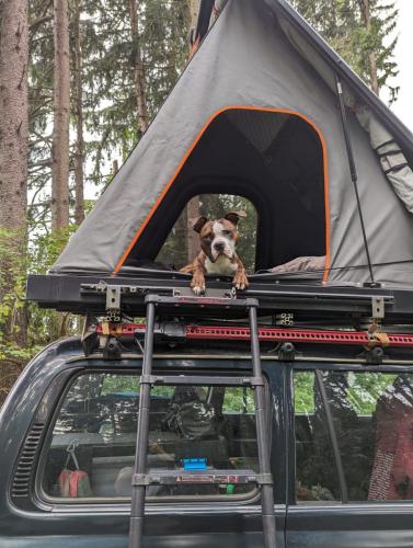 WhatsApp-Image-2025-03-26-at-15.11.21-1