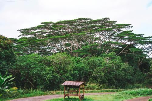 pexels-brittany-salatino-767017355-31318527