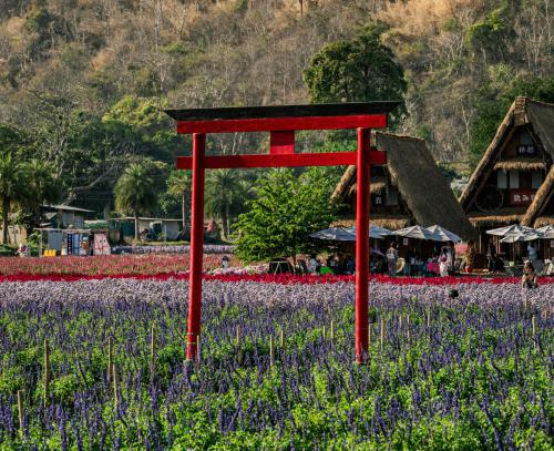 pexels-optical-chemist-340351297-31314889