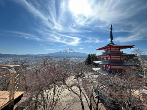 pexels-tracy-ng-2150769011-31318845